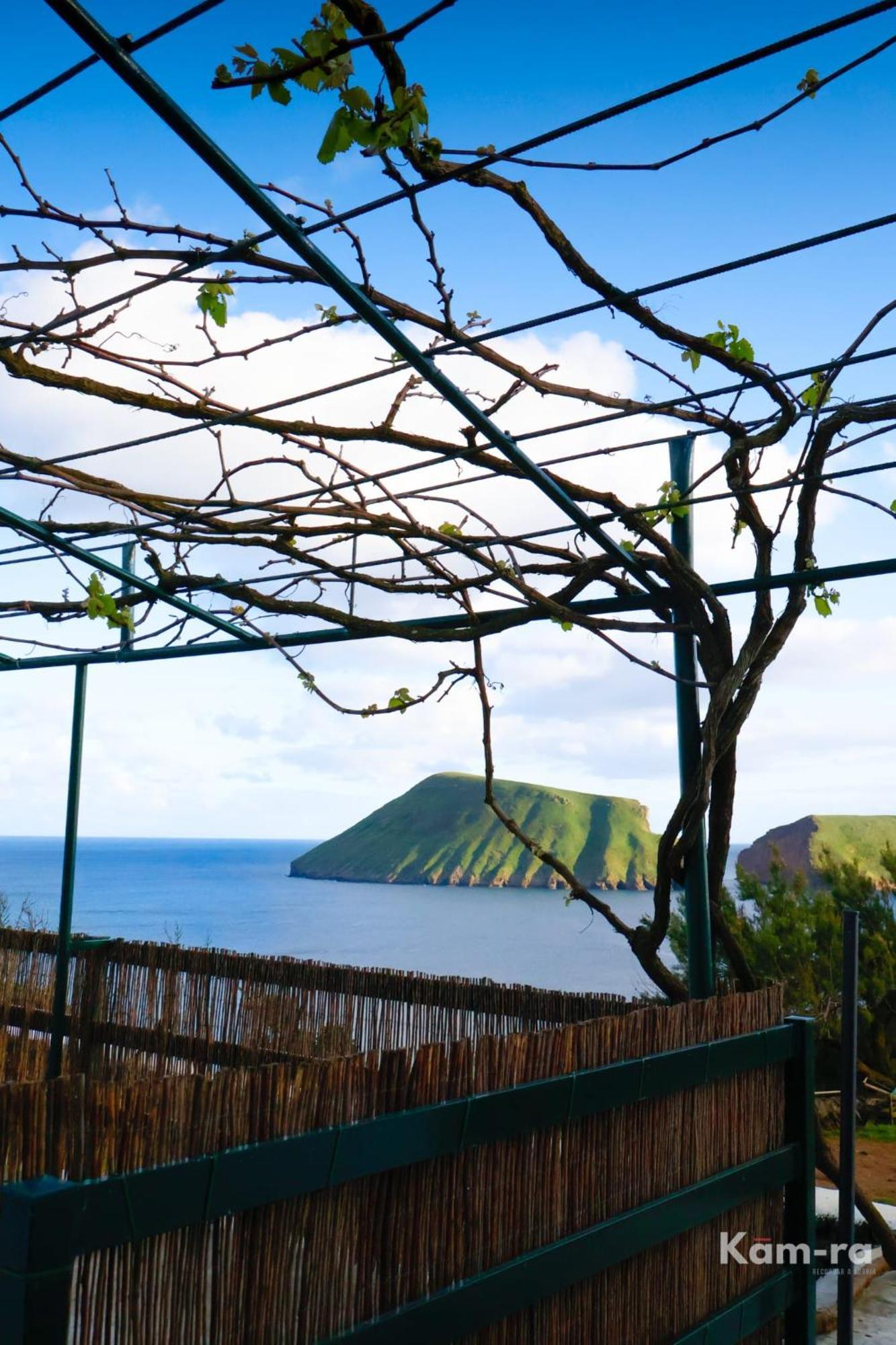 Casa Da Avo Couta Angra do Heroísmo Exterior foto